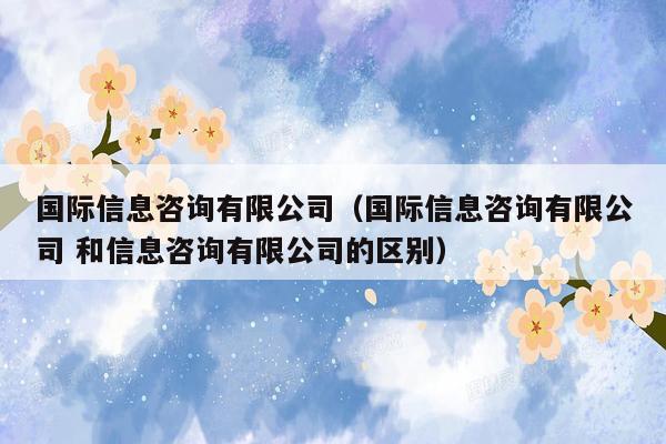 国际信息咨询有限公司（国际信息咨询有限公司 和信息咨询有限公司的区别）