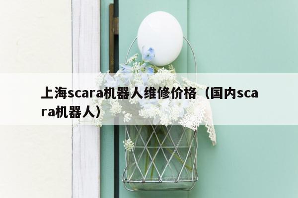 上海scara机器人维修价格（国内scara机器人）