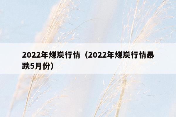 2022年煤炭行情（2022年煤炭行情暴跌5月份）