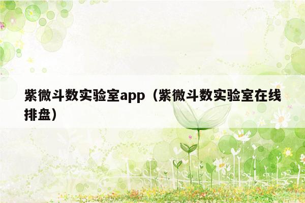 紫微斗数实验室app（紫微斗数实验室在线排盘）