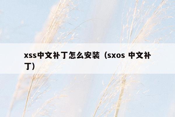 xss中文补丁怎么安装（sxos 中文补丁）