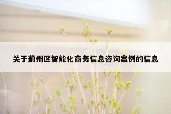 关于蓟州区智能化商务信息咨询案例的信息