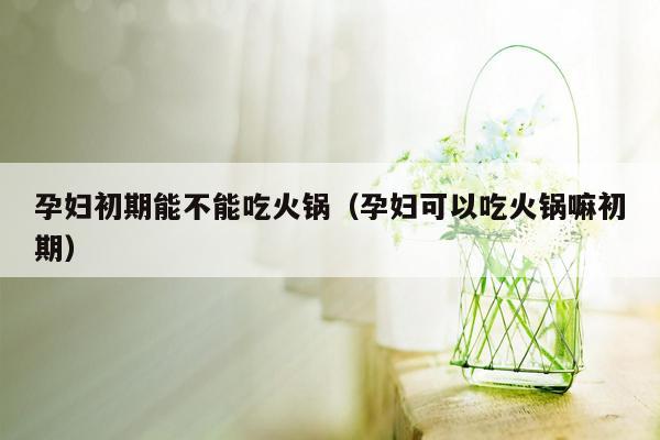 孕妇初期能不能吃火锅（孕妇可以吃火锅嘛初期）