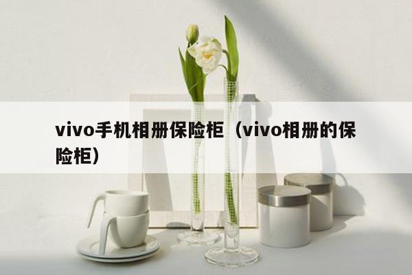 vivo手机相册保险柜（vivo相册的保险柜）