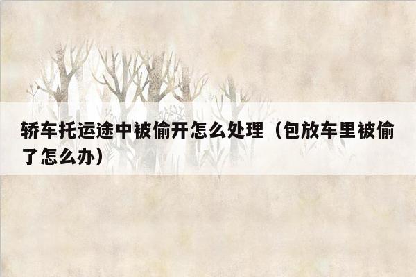 轿车托运途中被偷开怎么处理（包放车里被偷了怎么办）