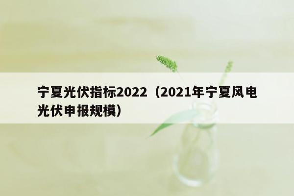 宁夏光伏指标2022（2021年宁夏风电光伏申报规模）