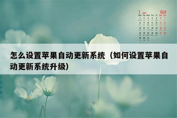 怎么设置苹果自动更新系统（如何设置苹果自动更新系统升级）