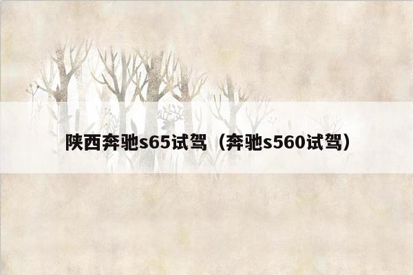 陕西奔驰s65试驾（奔驰s560试驾）