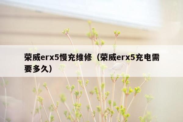 荣威erx5慢充维修（荣威erx5充电需要多久）