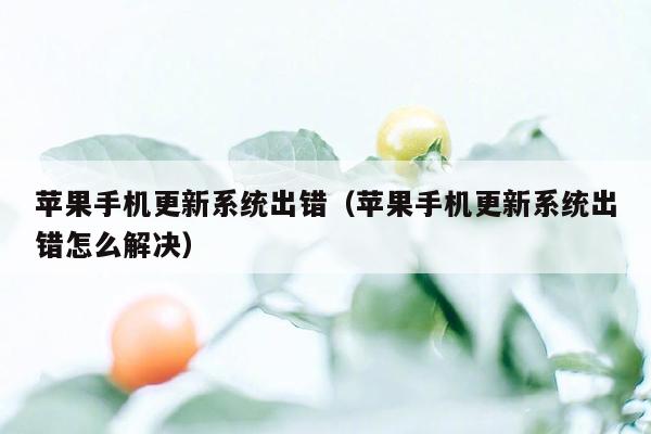 苹果手机更新系统出错（苹果手机更新系统出错怎么解决）