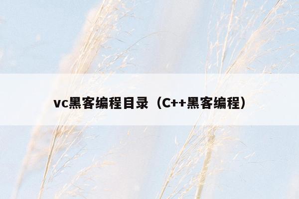 vc黑客编程目录（C++黑客编程）