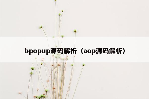 bpopup源码解析（aop源码解析）