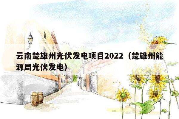 云南楚雄州光伏发电项目2022（楚雄州能源局光伏发电）