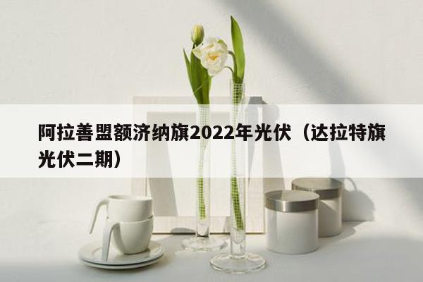 阿拉善盟额济纳旗2022年光伏（达拉特旗光伏二期）