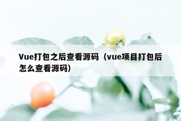 Vue打包之后查看源码（vue项目打包后怎么查看源码）