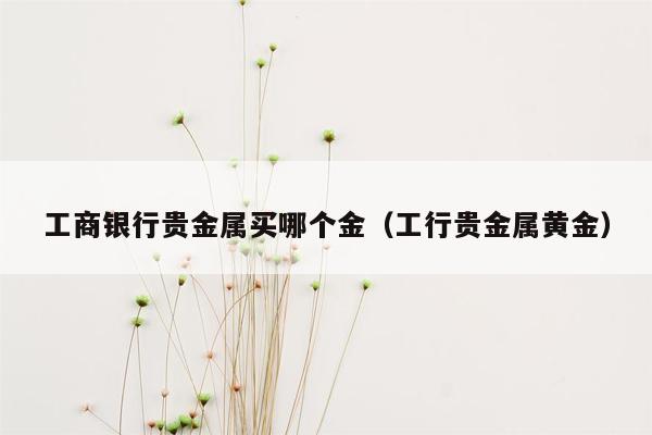 工商银行贵金属买哪个金（工行贵金属黄金）