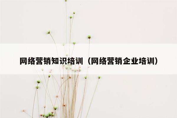 网络营销知识培训（网络营销企业培训）