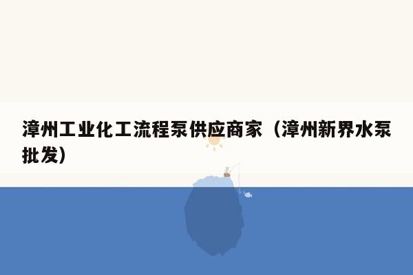 漳州工业化工流程泵供应商家（漳州新界水泵批发）