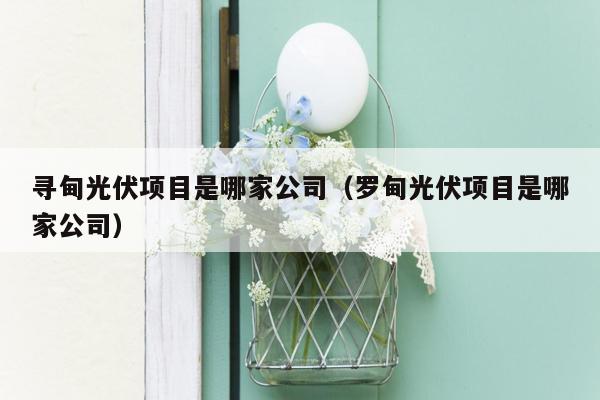 寻甸光伏项目是哪家公司（罗甸光伏项目是哪家公司）