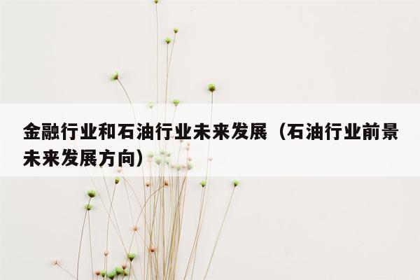 金融行业和石油行业未来发展（石油行业前景未来发展方向）