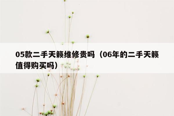 05款二手天籁维修贵吗（06年的二手天籁值得购买吗）