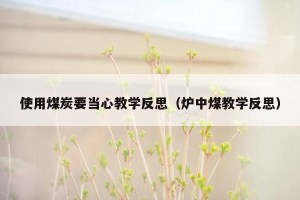 使用煤炭要当心教学反思（炉中煤教学反思）