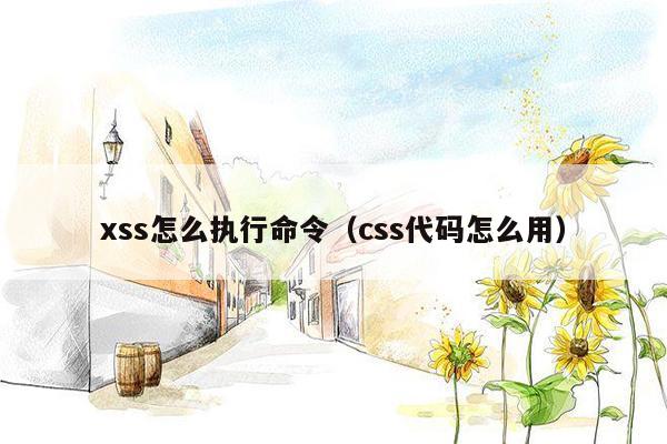 xss怎么执行命令（css代码怎么用）