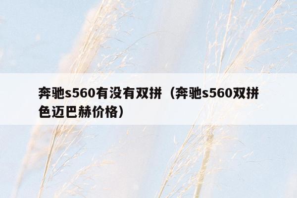 奔驰s560有没有双拼（奔驰s560双拼色迈巴赫价格）