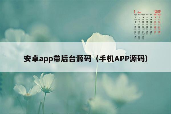 安卓app带后台源码（手机APP源码）