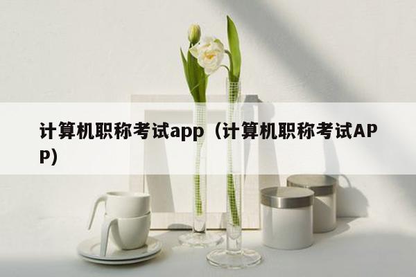 计算机职称考试app（计算机职称考试APP）