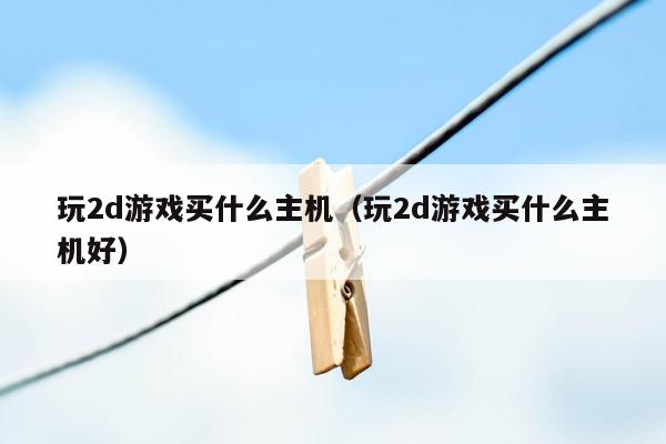 玩2d游戏买什么主机（玩2d游戏买什么主机好）